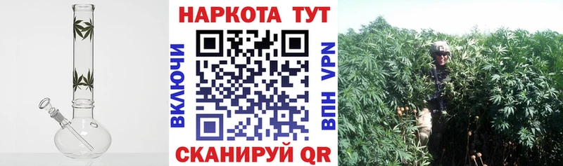Где купить наркоту Новый Оскол ГАШ  LSD-25  А ПВП  Марихуана  Меф  COCAIN 
