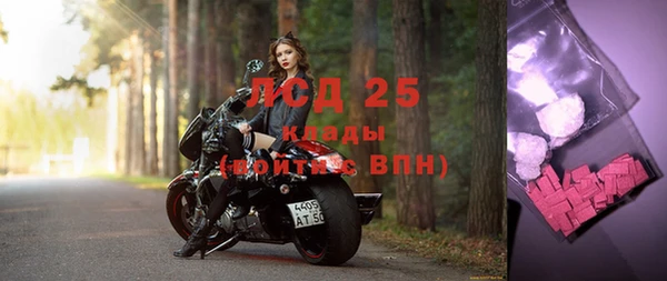 шишки Балахна