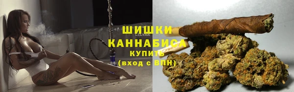 шишки Балахна