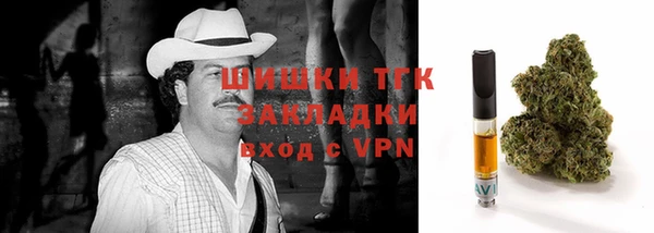 шишки Балахна
