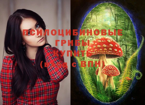 шишки Балахна