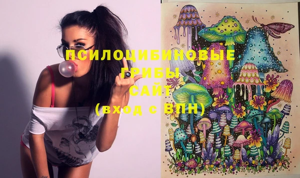 шишки Балахна