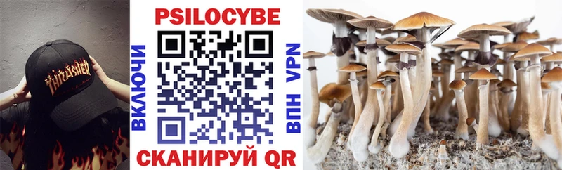 Псилоцибиновые грибы Cubensis  где можно купить наркотик  Новый Оскол 